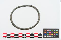 Foto von Bronzearmring (NHMW-PRAE-024985)